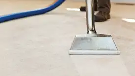 Carpet cleaning wand head gliding over a light carpet during hot-water extraction, Wichita, KS.